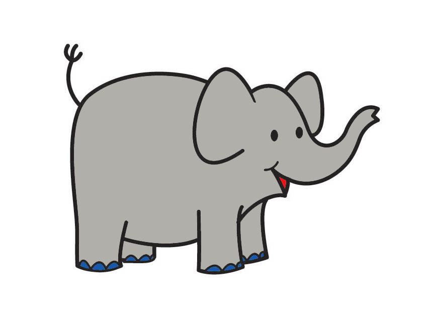 elefant bild elefant