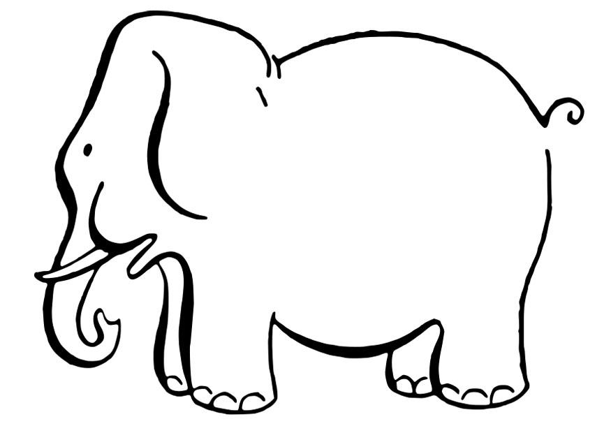 elefant Målarbild elefant