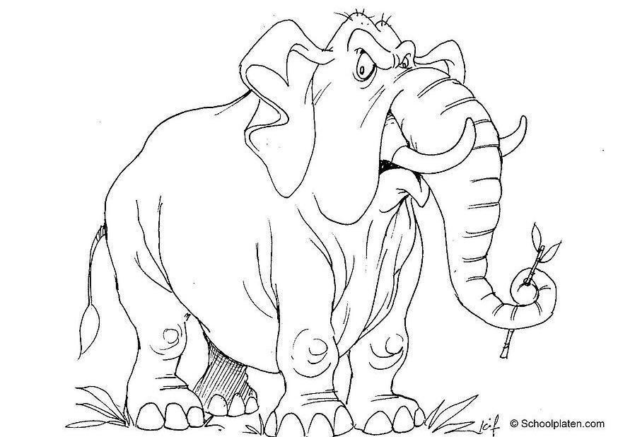 elefant Målarbild elefant