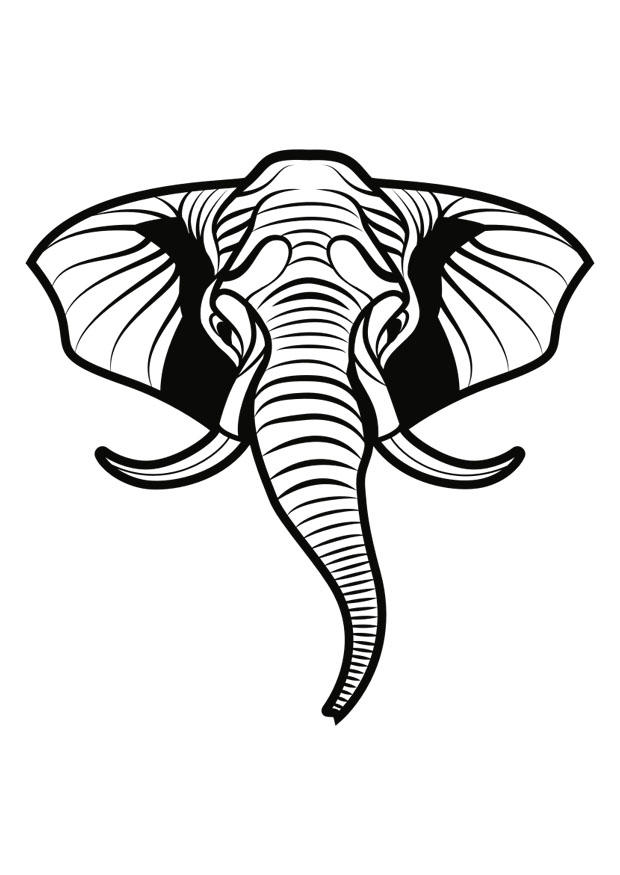 elefant Målarbild elefant