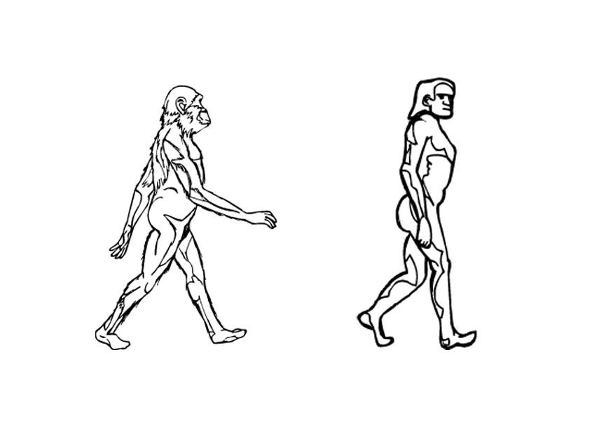 Målarbild evolution