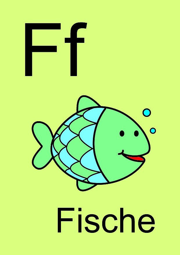 f bild f