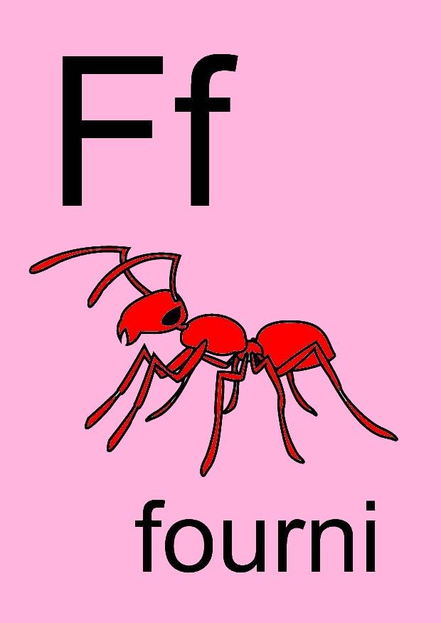 f bild f