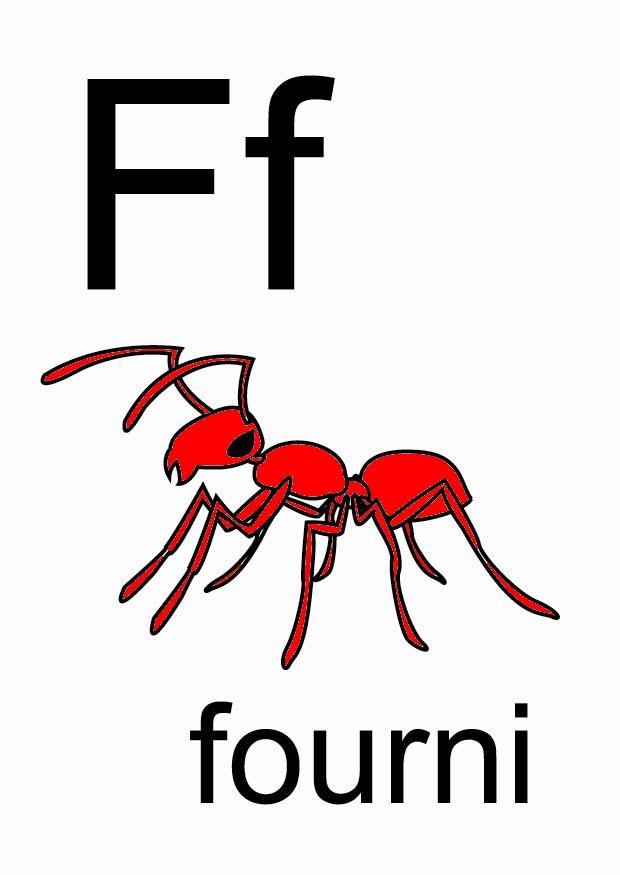 f bild f