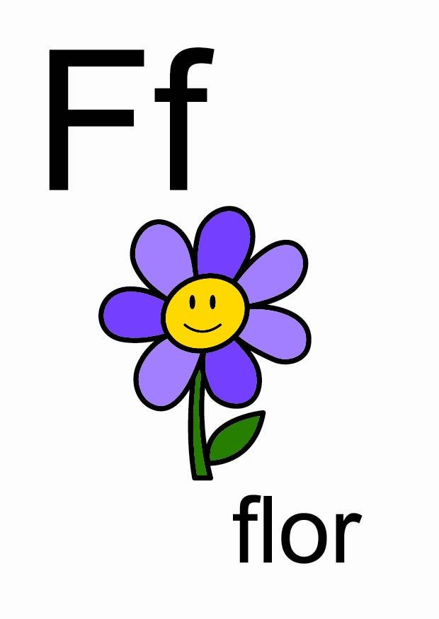 f bild f