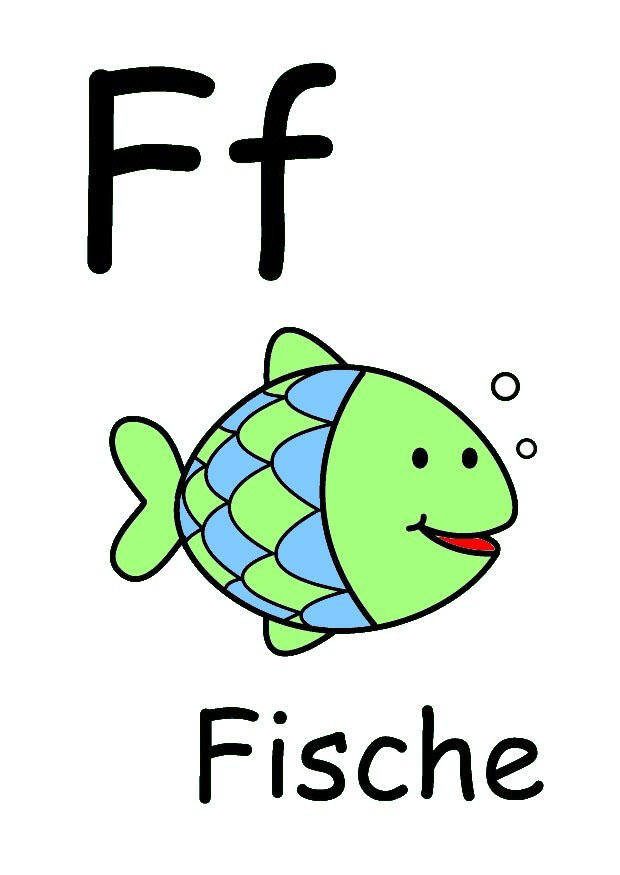 f bild f