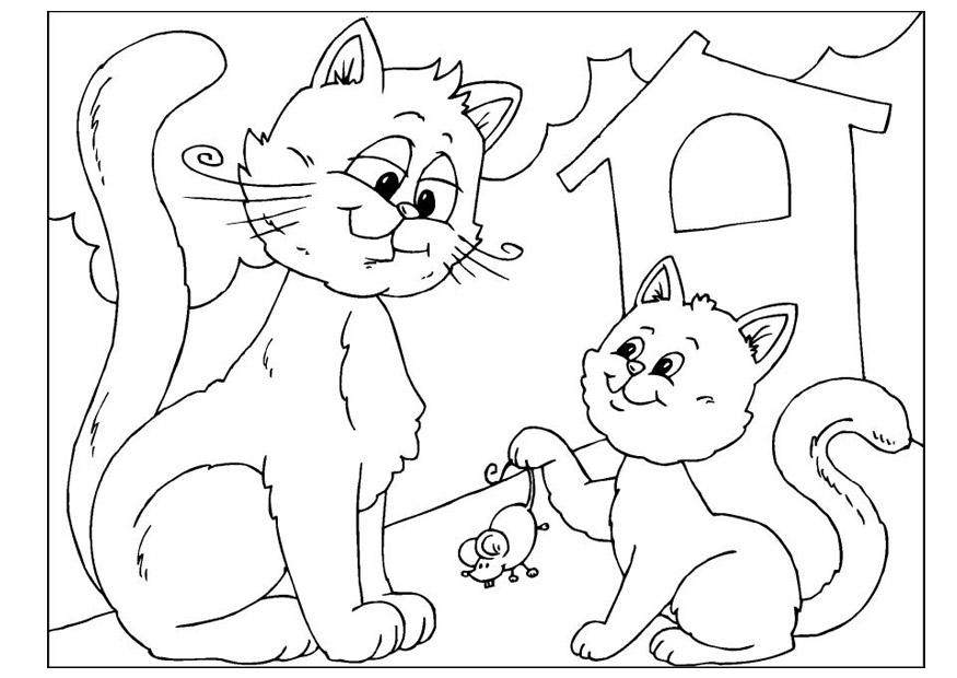 Målarbild fars dag - katter