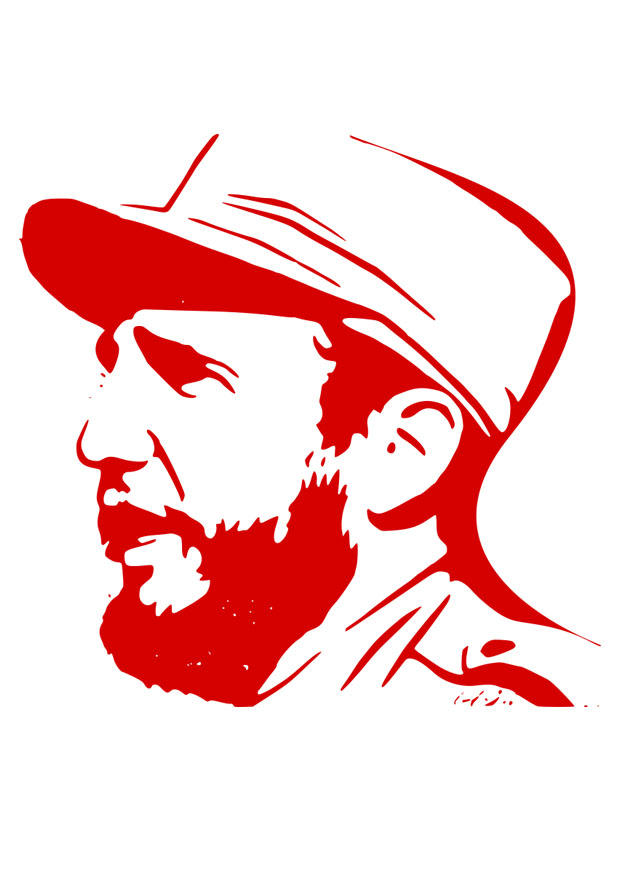 fidel castro bild fidel castro