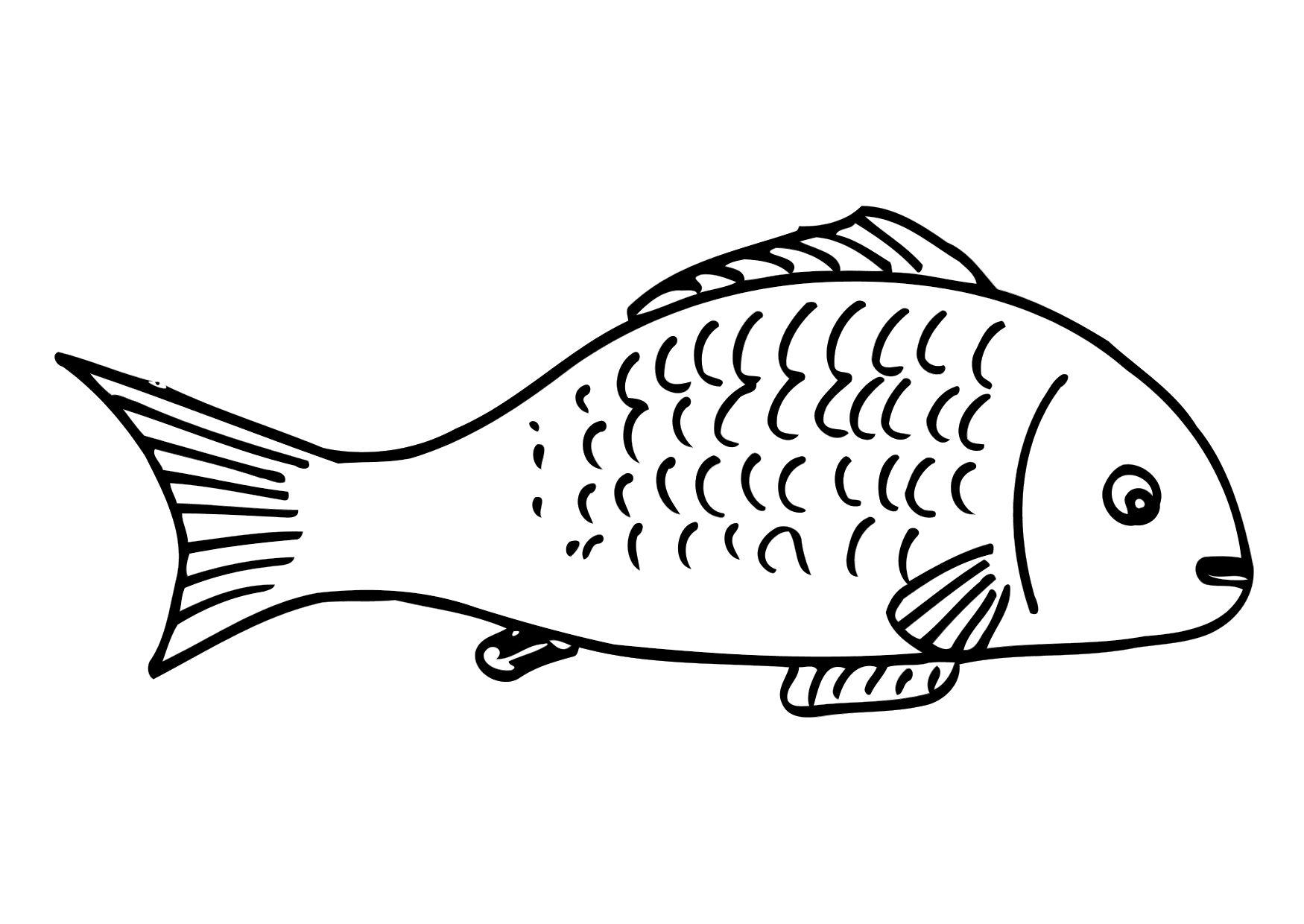 fisk Målarbild fisk