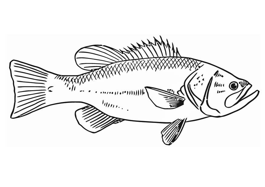 fisk Målarbild fisk