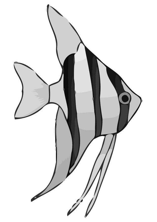 fisk Målarbild fisk