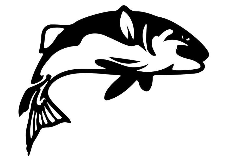 fisk Målarbild fisk