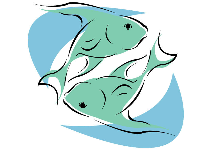 fisken bild fisken