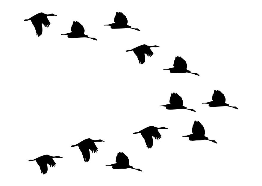 flock med A¤nder Målarbild flock med A¤nder