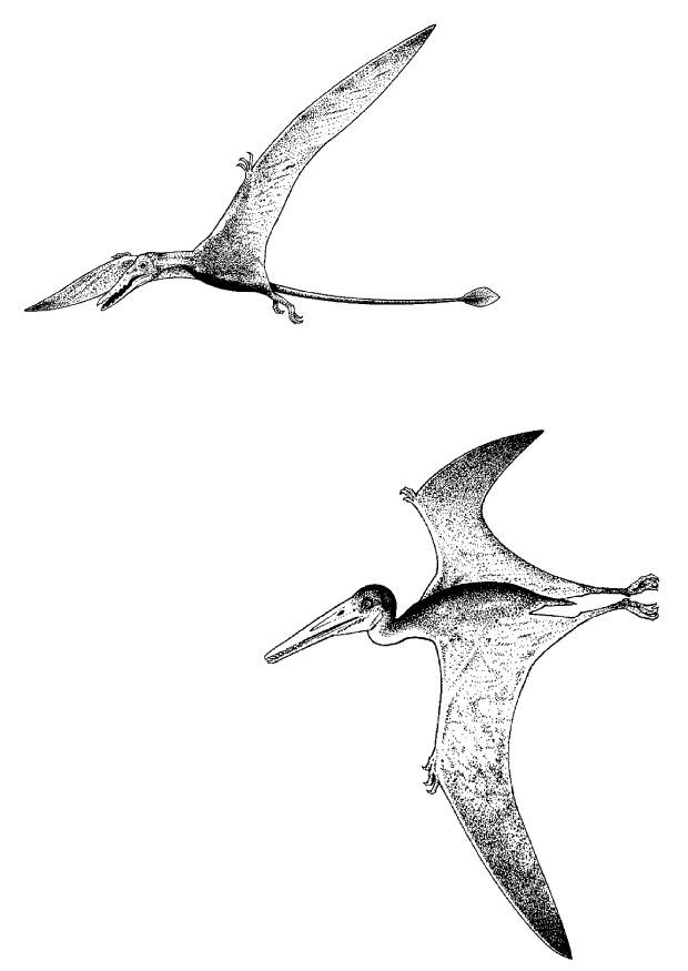 flygande dinosaurier Målarbild flygande dinosaurier