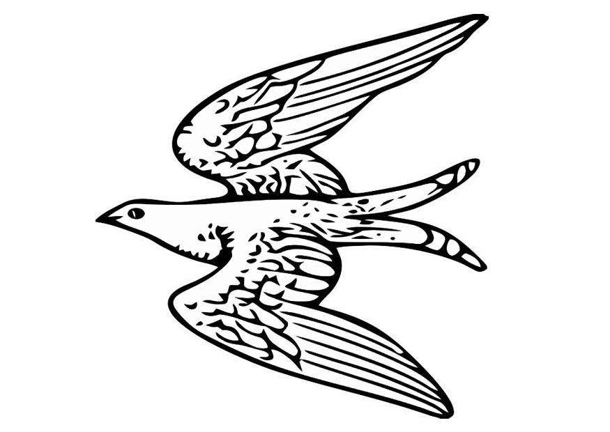 flygande fA¥gel Målarbild flygande fA¥gel