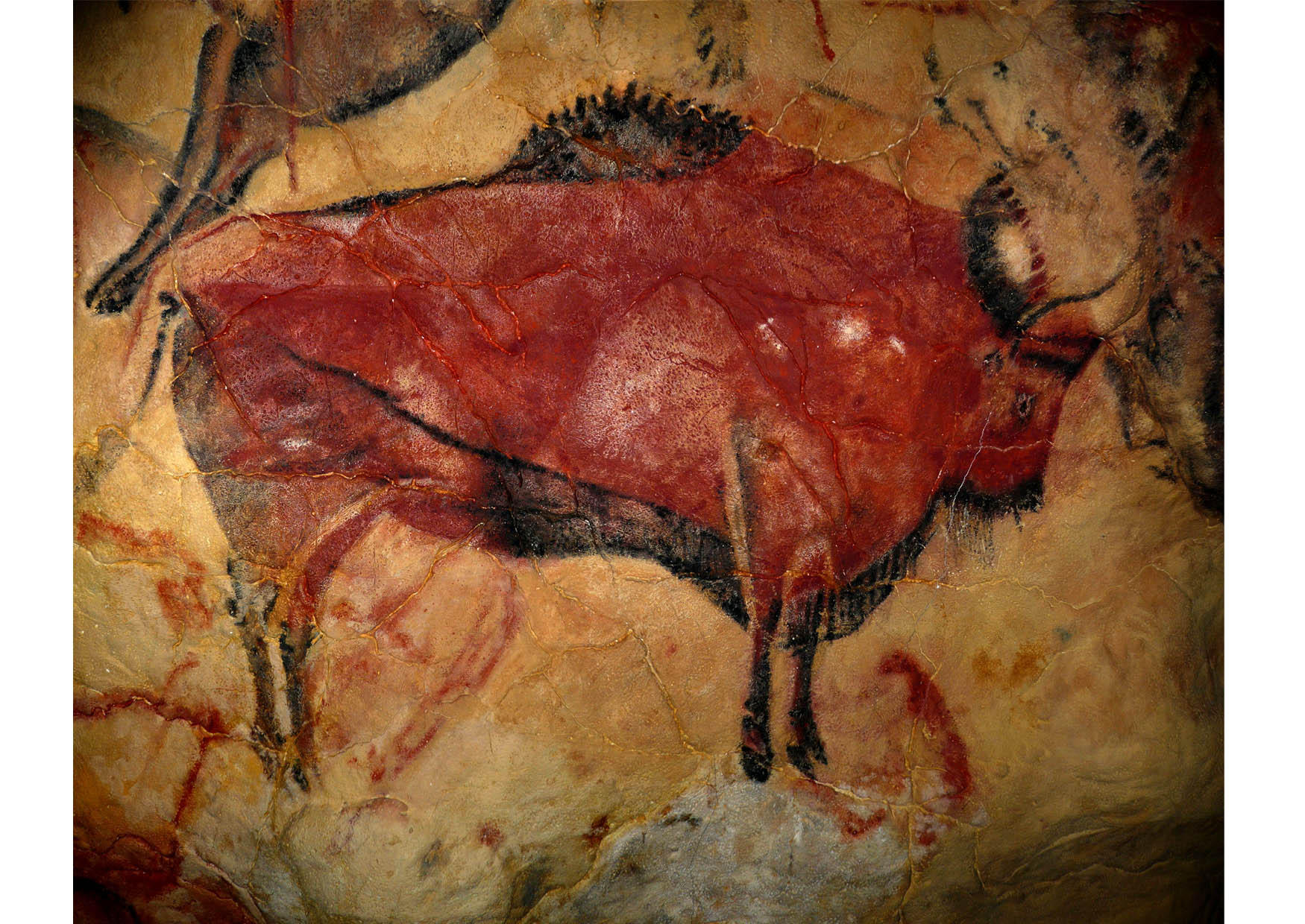 Foto fA¶rhistorisk konst - bison