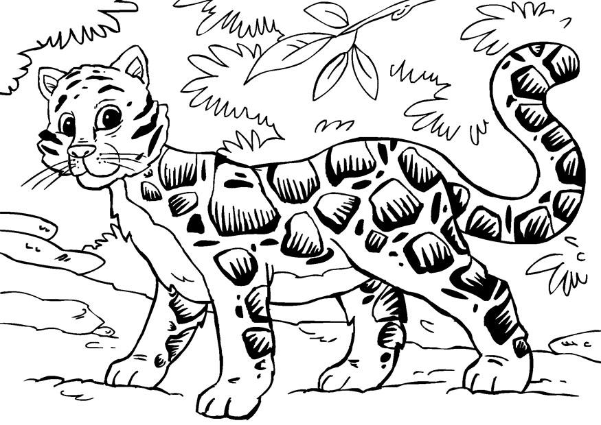 fA¶rklA¤dd leopard Målarbild fA¶rklA¤dd leopard
