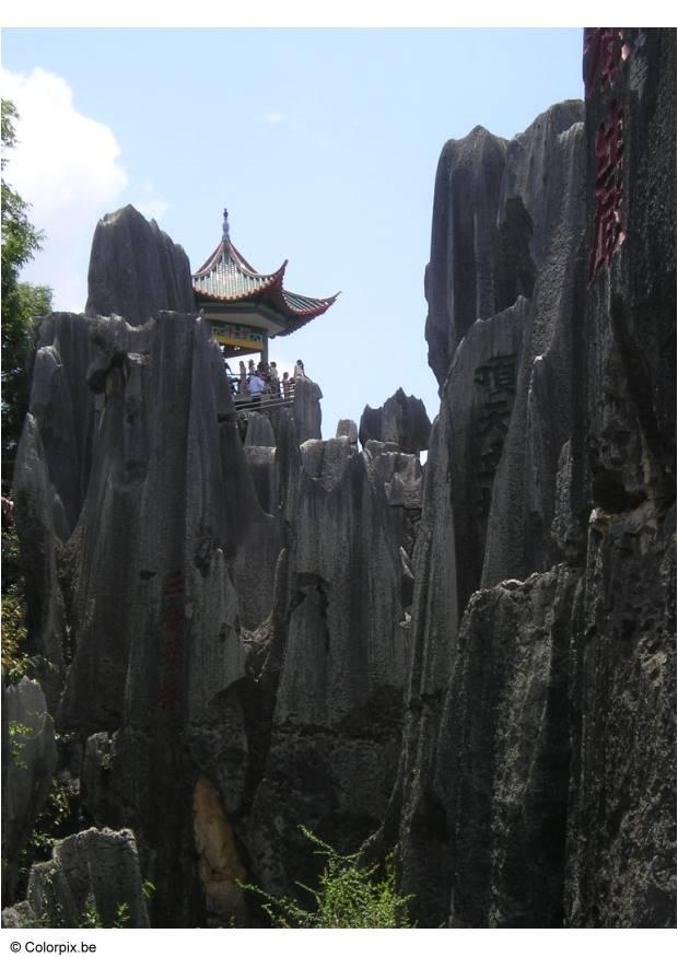 fA¶rstenad skog i kunming Foto fA¶rstenad skog i kunming