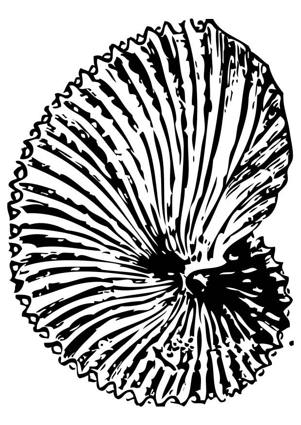 fossil Målarbild fossil