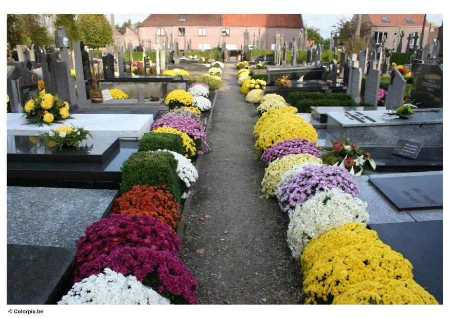 Foto blommor pA¥ kyrkogA¥rd