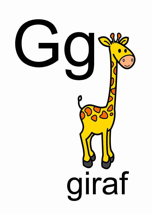 g bild g