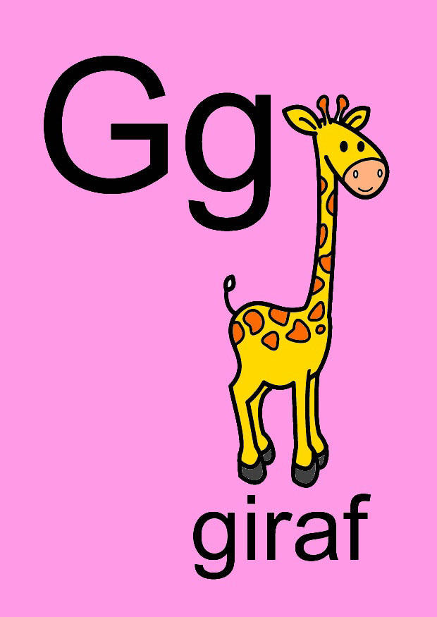 bild g