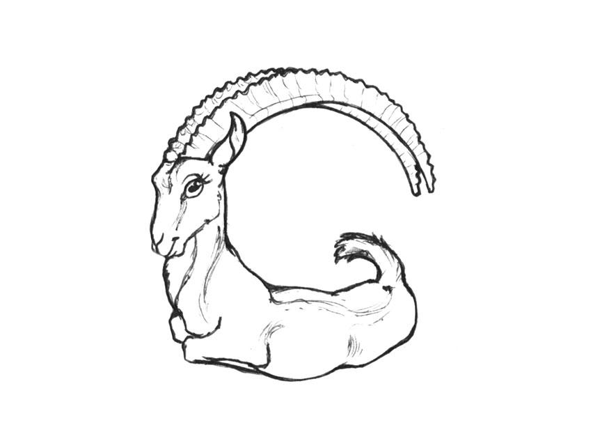 g-goat Målarbild g-goat