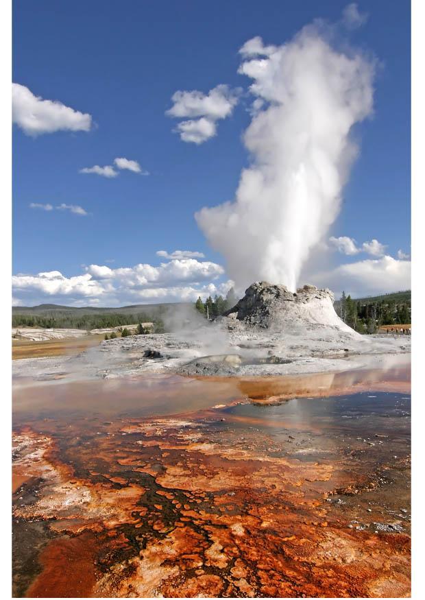 gejser i yellowstones nationalpark, usa Foto gejser i yellowstones nationalpark, usa