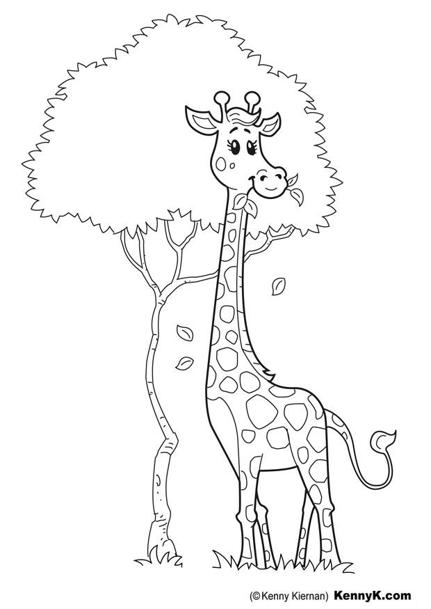 giraff Målarbild giraff
