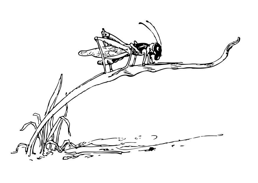 Målarbild grA¤shoppa