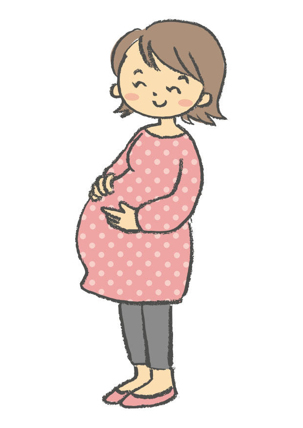 gravid bild gravid
