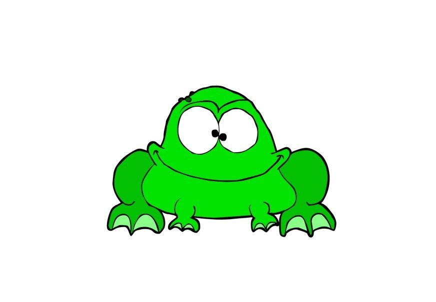 groda bild groda