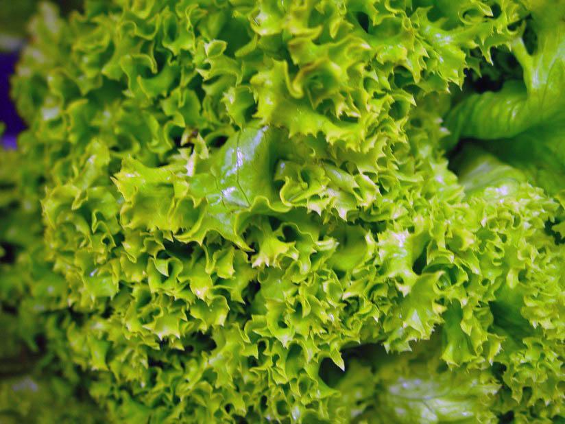grA¶nsallad Foto grA¶nsallad
