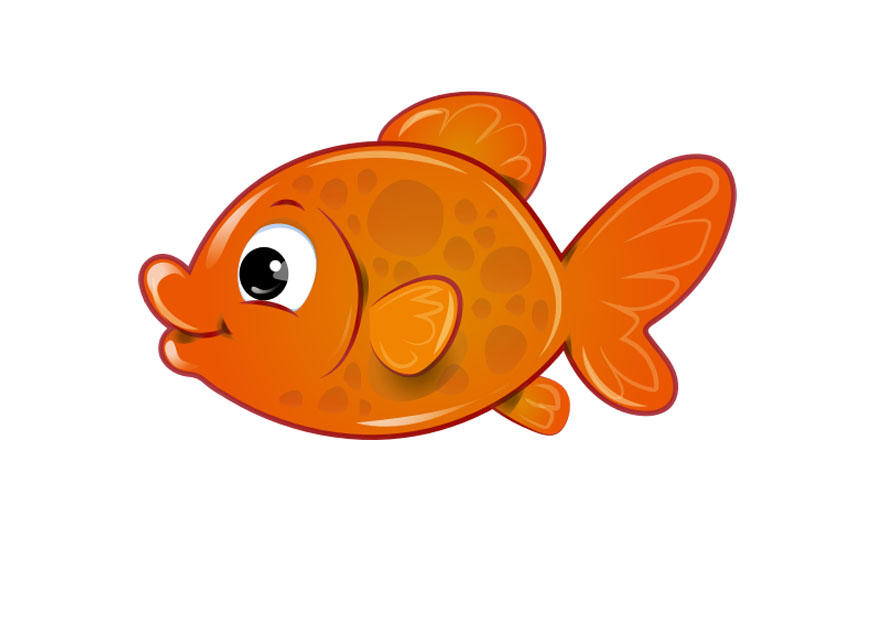 guldfisk bild guldfisk