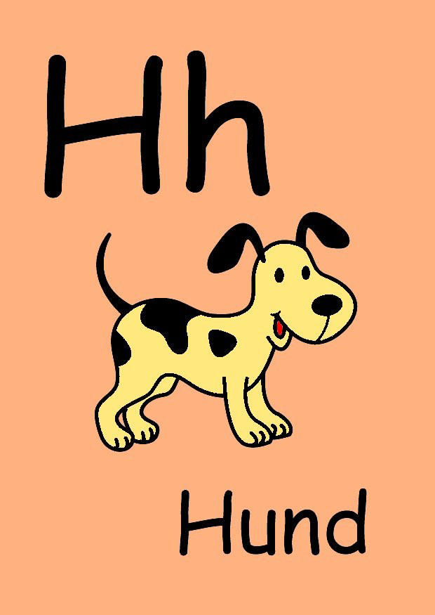 h bild h