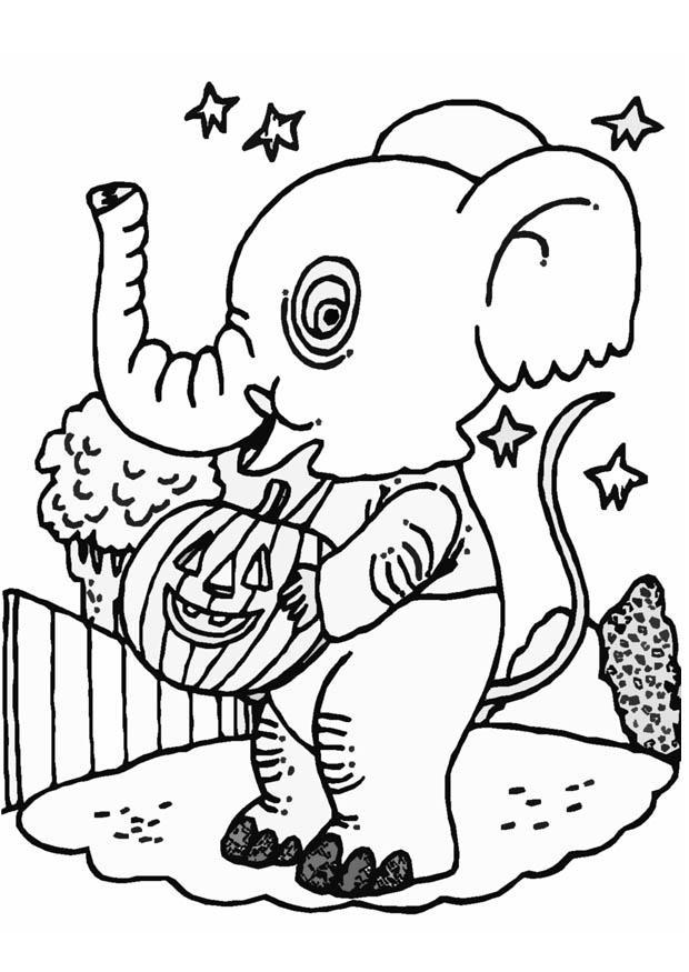 Målarbild halloween - elefant