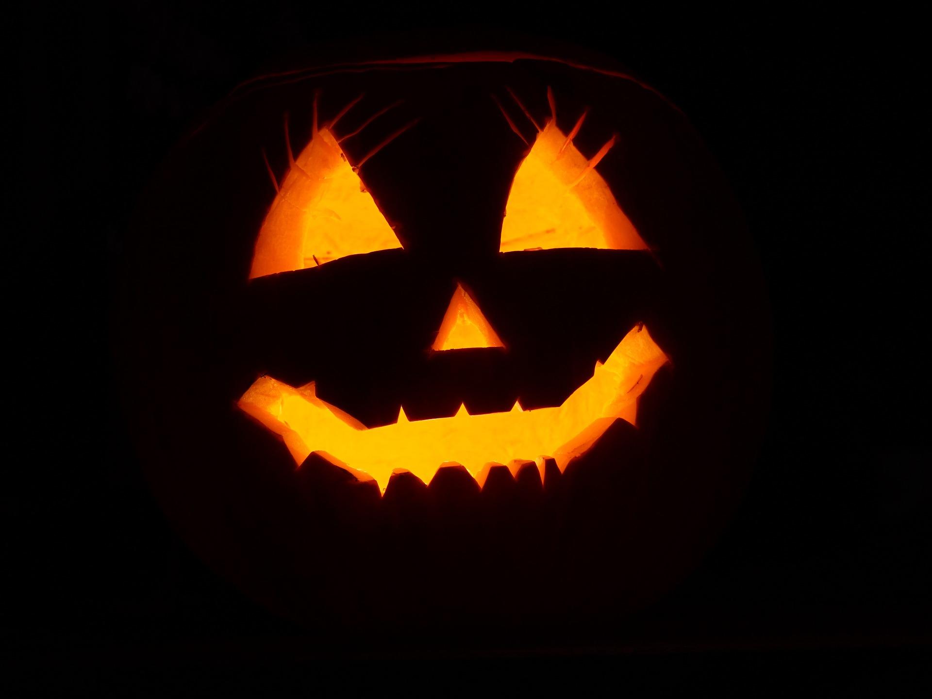 halloween pumpa Foto halloween pumpa
