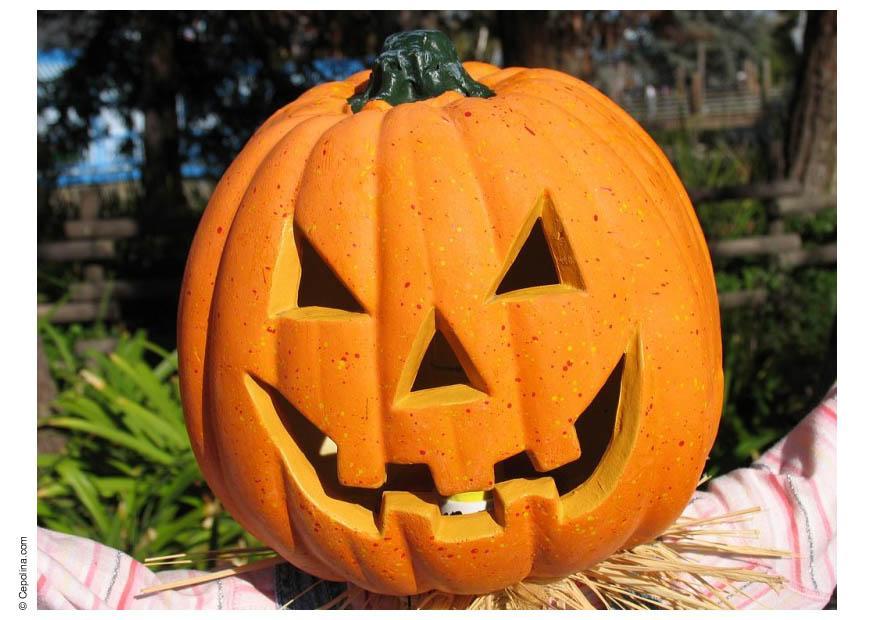 halloween-pumpa Foto halloween-pumpa