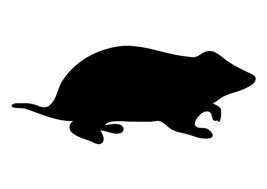 hamster Målarbild hamster