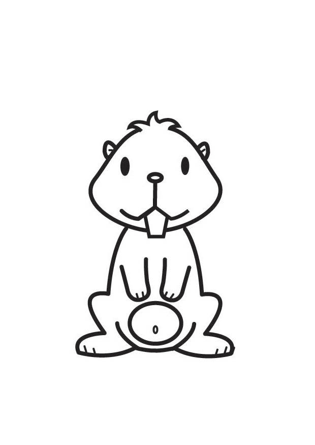 Målarbild hamster