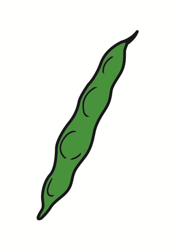 haricot verts - bA¶na bild haricot verts - bA¶na