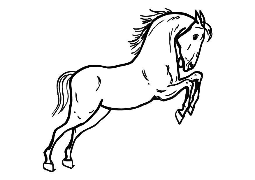 hoppande hA¤st Målarbild hoppande hA¤st