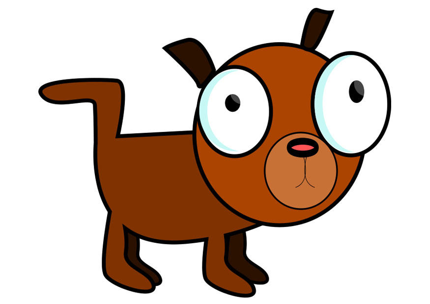 hund bild hund