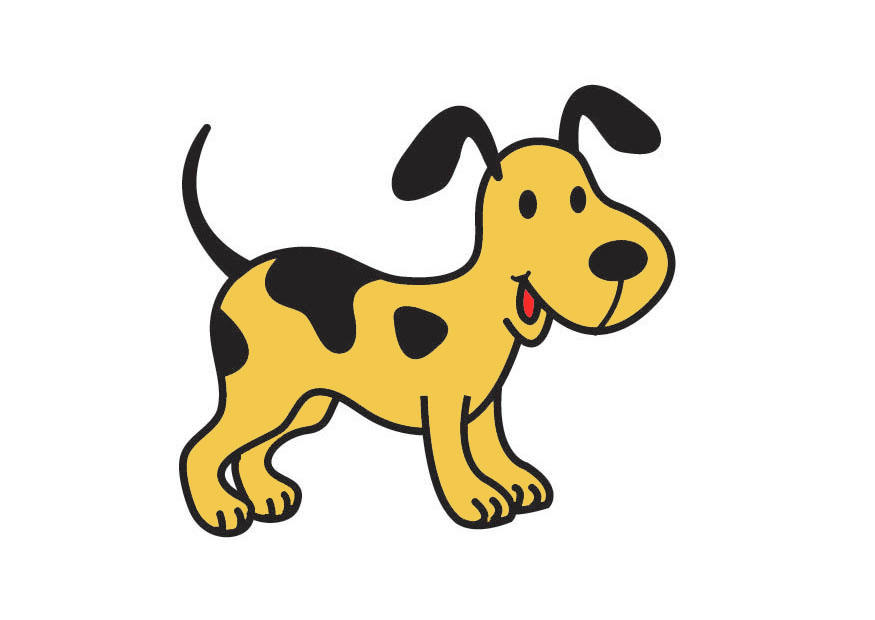hund bild hund
