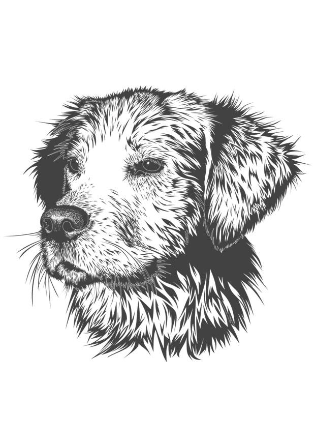 hund Målarbild hund