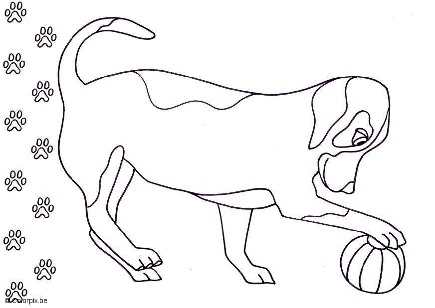hund Målarbild hund