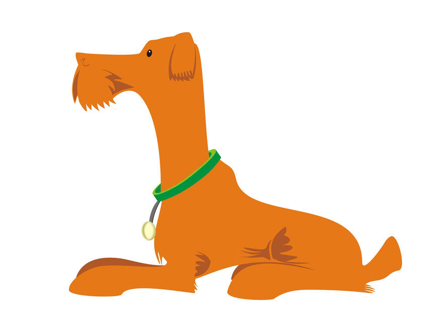hund - att ligga bild hund - att ligga