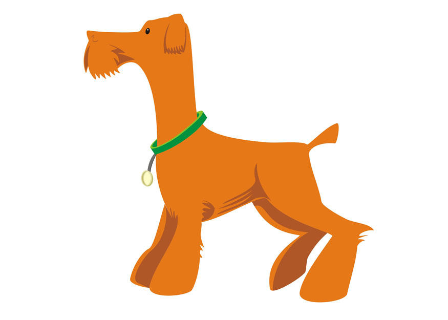 hund - att stA¥ bild hund - att stA¥