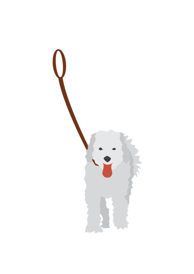 hund i koppel bild hund i koppel